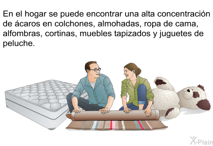 En el hogar se puede encontrar una alta concentracin de caros en colchones, almohadas, ropa de cama, alfombras, cortinas, muebles tapizados y juguetes de peluche.