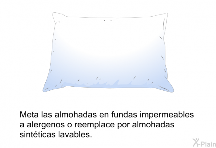 Meta las almohadas en fundas impermeables a alergenos o reemplace por almohadas sintticas lavables.