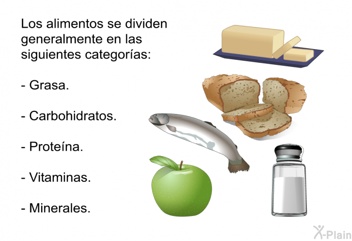 Los alimentos se dividen generalmente en las siguientes categoras:  Grasa. Carbohidratos. Protena. Vitaminas. Minerales.