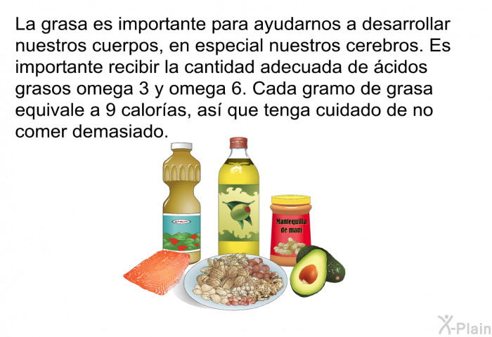 La grasa es importante para ayudarnos a desarrollar nuestros cuerpos, en especial nuestros cerebros. Es importante recibir la cantidad adecuada de cidos grasos omega 3 y omega 6. Cada gramo de grasa equivale a 9 caloras, as que tenga cuidado de no comer demasiado.