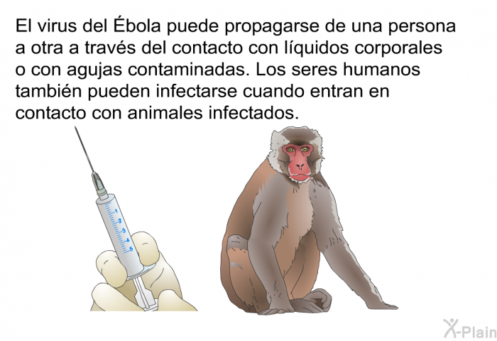 El virus del Ébola puede propagarse de una persona a otra a travs del contacto con lquidos corporales o con agujas contaminadas. Los seres humanos tambin pueden infectarse cuando entran en contacto con animales infectados.