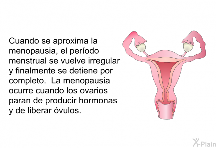 Cuando se aproxima la menopausia, el perodo menstrual se vuelve irregular y finalmente se detiene por completo. La menopausia ocurre cuando los ovarios paran de producir hormonas y de liberar vulos.