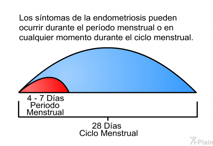 Los sntomas de la endometriosis pueden ocurrir durante el perodo menstrual o en cualquier momento durante el ciclo menstrual.