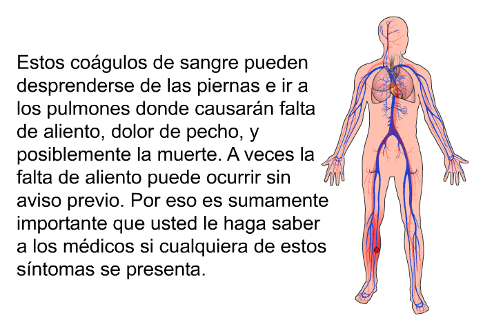 Estos co�gulos de sangre pueden desprenderse de las piernas e ir a los pulmones donde causar�n falta de aliento, dolor de pecho, y posiblemente la muerte. A veces la falta de aliento puede ocurrir sin aviso previo. Por eso es sumamente importante que usted le haga saber a los m�dicos si cualquiera de estos s�ntomas se presenta.