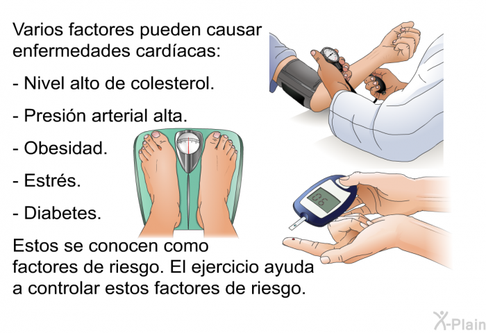 Varios factores pueden causar enfermedades cardacas:  Nivel alto de colesterol. Presin arterial alta. Obesidad. Estrs. Diabetes.  
 Estos se conocen como factores de riesgo. El ejercicio ayuda a controlar estos factores de riesgo.