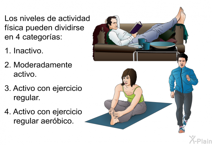 Los niveles de actividad fsica pueden dividirse en 4 categoras:  Inactivo. Moderadamente activo. Activo con ejercicio regular. Activo con ejercicio regular aerbico.