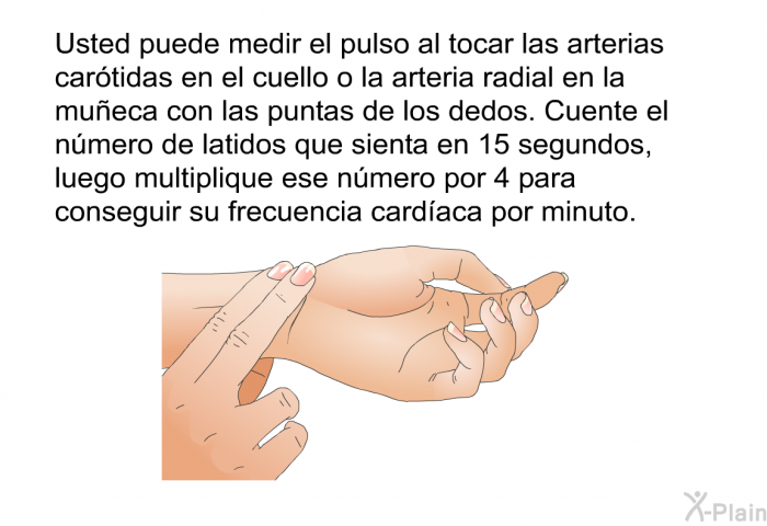 Usted puede medir el pulso al tocar las arterias car�tidas en el cuello o la arteria radial en la mu�eca con las puntas de los dedos. Cuente el n�mero de latidos que sienta en 15 segundos, luego multiplique ese n�mero por 4 para conseguir su frecuencia card�aca por minuto.