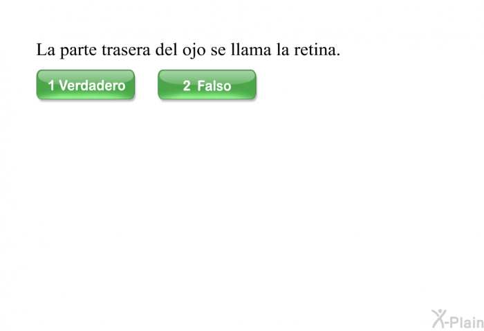 La parte trasera del ojo se llama la retina.