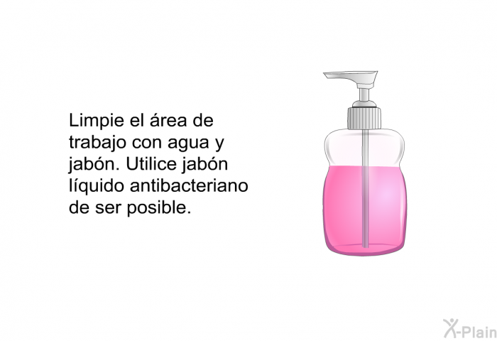 Limpie el rea de trabajo con agua y jabn. Utilice jabn lquido antibacteriano de ser posible.