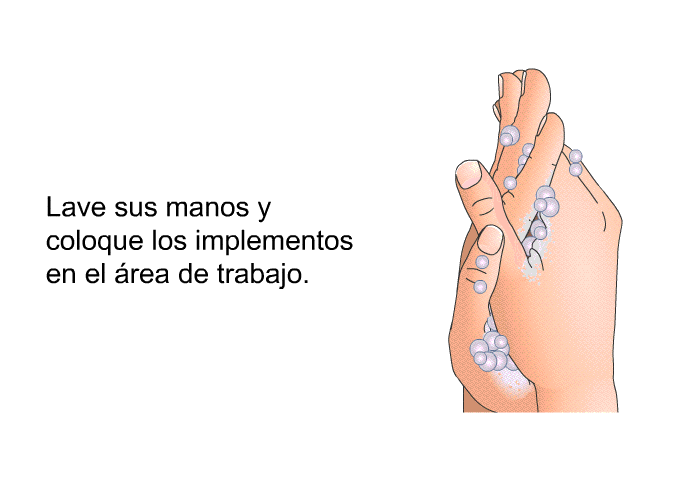 Lave sus manos y coloque los implementos en el rea de trabajo.