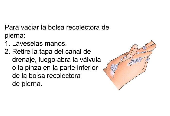 Para vaciar la bolsa recolectora de pierna:  Lveselas manos.  Retire la tapa del canal de drenaje, luego abra la vlvula o la pinza en la parte inferior de la bolsa recolectora de pierna.