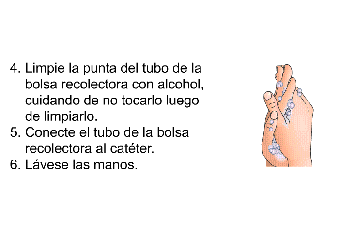 Limpie la punta del tubo de la bolsa recolectora con alcohol, cuidando de no tocarlo luego de limpiarlo.  Conecte el tubo de la bolsa recolectora al catter.  Lvese las manos.