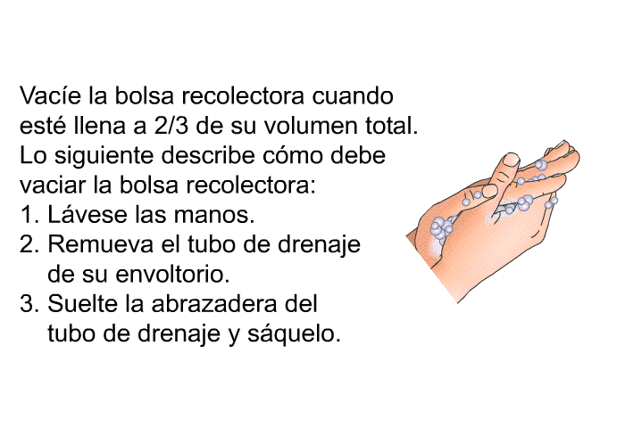 Vac�e la bolsa recolectora cuando est� llena a 2/3 de su volumen total. Lo siguiente describe c�mo debe vaciar la bolsa recolectora:  L�vese las manos.  Remueva el tubo de drenaje de su envoltorio.  Suelte la abrazadera del tubo de drenaje y s�quelo.
