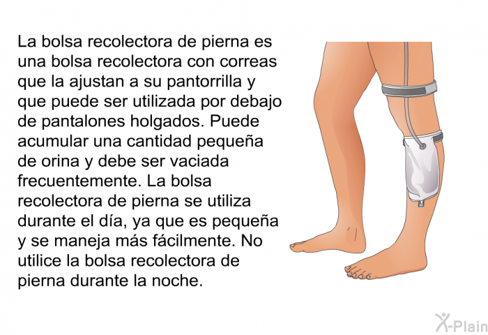 La bolsa recolectora de pierna es una bolsa recolectora con correas que la ajustan a su pantorrilla y que puede ser utilizada por debajo de pantalones holgados. Puede acumular una cantidad pequea de orina y debe ser vaciada frecuentemente. La bolsa recolectora de pierna se utiliza durante el da, ya que es pequea y se maneja ms fcilmente. No utilice la bolsa recolectora de pierna durante la noche.