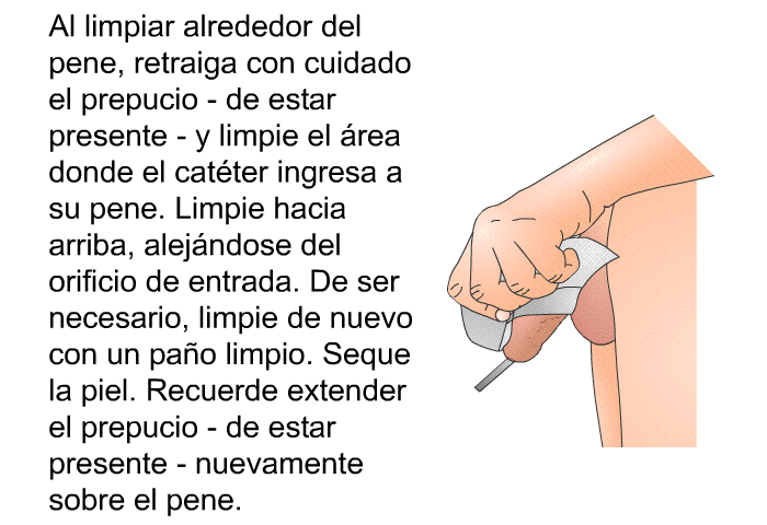 Al limpiar alrededor del pene, retraiga con cuidado el prepucio &ndash; de estar presente &ndash; y limpie el �rea donde el cat�ter ingresa a su pene. Limpie hacia arriba, alej�ndose del orificio de entrada. De ser necesario, limpie de nuevo con un pa�o limpio. Seque la piel. Recuerde extender el prepucio &ndash; de estar presente &ndash; nuevamente sobre el pene.
