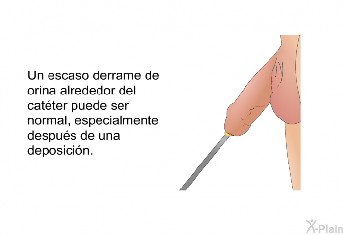 Un escaso derrame de orina alrededor del cat�ter puede ser normal, especialmente despu�s de una deposici�n.