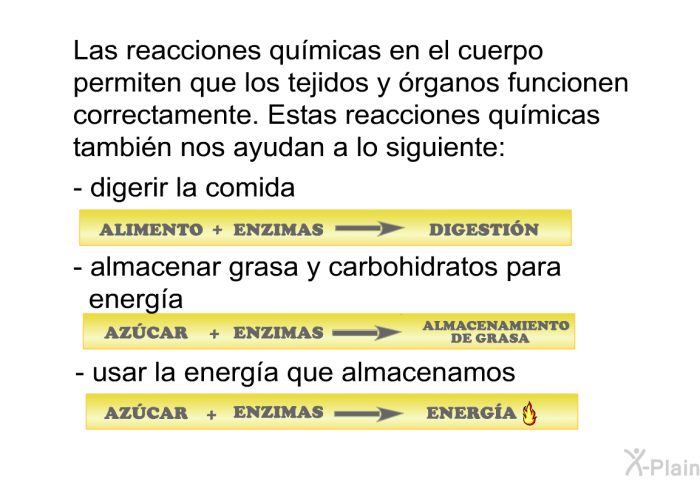 Las reacciones qumicas en el cuerpo permiten que los tejidos y rganos funcionen correctamente. Estas reacciones qumicas tambin nos ayudan a lo siguiente:  digerir la comida almacenar grasa y carbohidratos para energa. usar la energa que almacenamos