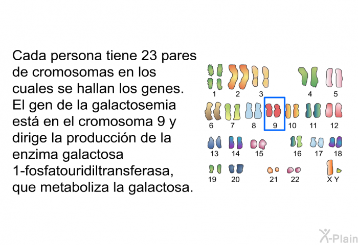 Cada persona tiene 23 pares de cromosomas en los cuales se hallan los genes. El gen de la galactosemia est en el cromosoma 9 y dirige la produccin de la enzima galactosa 1-fosfatouridiltransferasa, que metaboliza la galactosa.