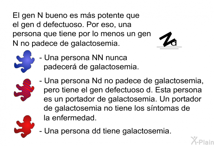 El gen N bueno es ms potente que el gen d defectuoso. Por eso, una persona que tiene por lo menos un gen N no padece de galactosemia.  Una persona NN nunca padecer de galactosemia. Una persona Nd no padece de galactosemia, pero tiene el gen defectuoso d. Esta persona es un portador de galactosemia. Un portador de galactosemia no tiene los sntomas de la enfermedad. Una persona dd tiene galactosemia.