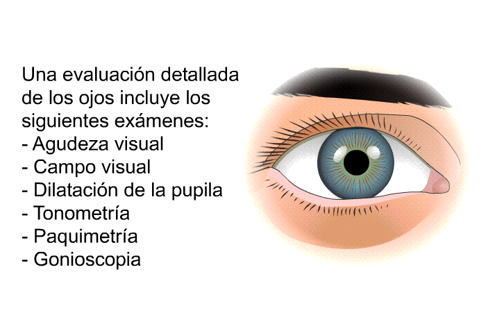 Una evaluacin detallada de los ojos incluye los siguientes exmenes:  Agudeza visual Campo visual Dilatacin de la pupila Tonometra Paquimetra Gonioscopia