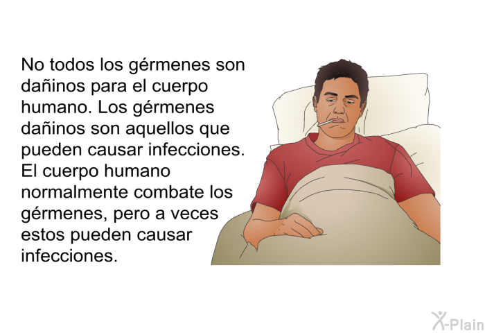 No todos los grmenes son dainos para el cuerpo humano. Los grmenes dainos son aquellos que pueden causar infecciones. El cuerpo humano normalmente combate los grmenes, pero a veces estos pueden causar infecciones.