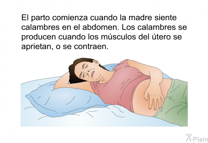 El parto comienza cuando la madre siente calambres en el abdomen. Los calambres se producen cuando los msculos del tero se aprietan, o se contraen.
