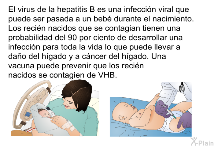 El virus de la hepatitis B es una infeccin viral que puede ser pasada a un beb durante el nacimiento. Los recin nacidos que se contagian tienen una probabilidad del 90 por ciento de desarrollar una infeccin para toda la vida lo que puede llevar a dao del hgado y a cncer del hgado. Una vacuna puede prevenir que los recin nacidos se contagien de VHB.