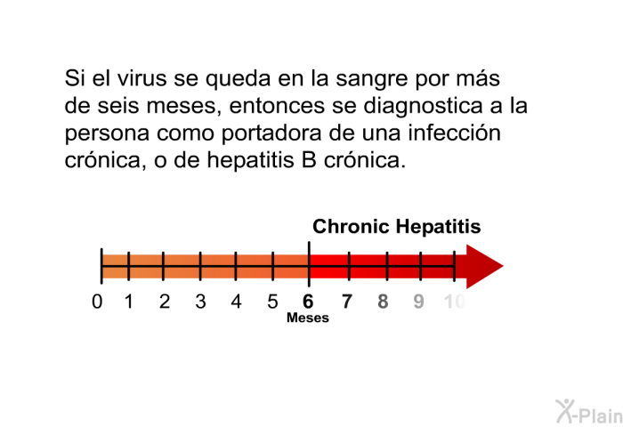 Si el virus se queda en la sangre por ms de seis meses, entonces se diagnostica a la persona como portadora de una infeccin crnica, o de hepatitis B crnica.