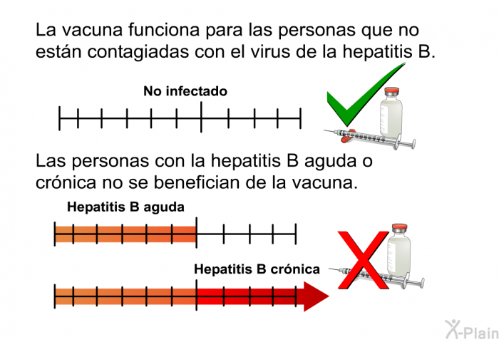 La vacuna funciona para las personas que no est�n contagiadas con el virus de la hepatitis B. Las personas con la hepatitis B aguda o cr�nica no se benefician de la vacuna.