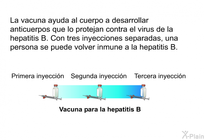 La vacuna ayuda al cuerpo a desarrollar anticuerpos que lo protejan contra el virus de la hepatitis B. Con tres inyecciones separadas, una persona se puede volver inmune a la hepatitis B.