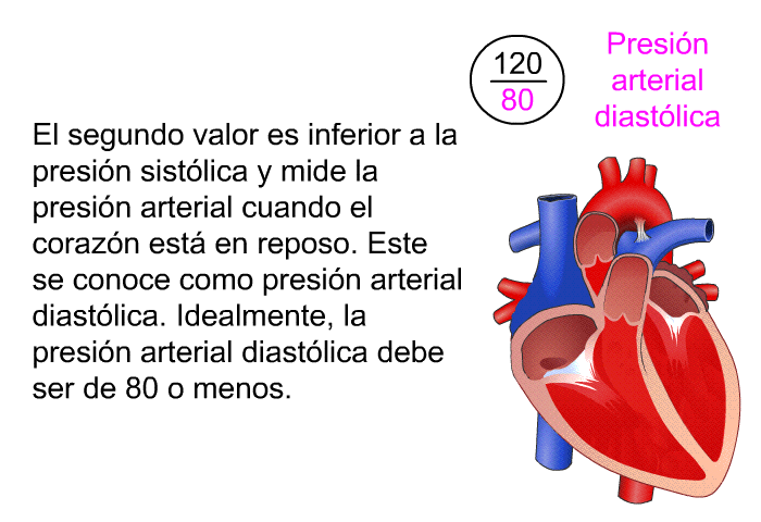El segundo valor es inferior a la presin sistlica y mide la presin arterial cuando el corazn est en reposo. Este se conoce como presin arterial diastlica. Idealmente, la presin arterial diastlica debe ser de 80 o menos.