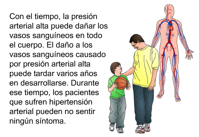 Con el tiempo, la presi�n arterial alta puede da�ar los vasos sangu�neos en todo el cuerpo. El da�o a los vasos sangu�neos causado por presi�n arterial alta puede tardar varios a�os en desarrollarse. Durante ese tiempo, los pacientes que sufren hipertensi�n arterial pueden no sentir ning�n s�ntoma.
