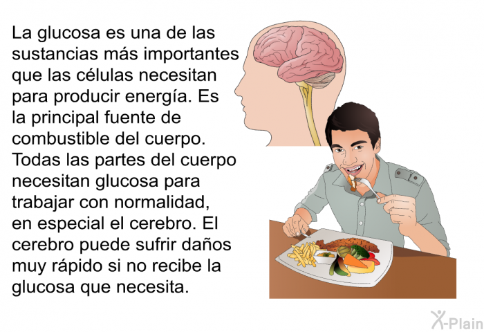 La glucosa es una de las sustancias ms importantes que las clulas necesitan para producir energa. Es la principal fuente de combustible del cuerpo. Todas las partes del cuerpo necesitan glucosa para trabajar con normalidad, en especial el cerebro. El cerebro puede sufrir daos muy rpido si no recibe la glucosa que necesita.