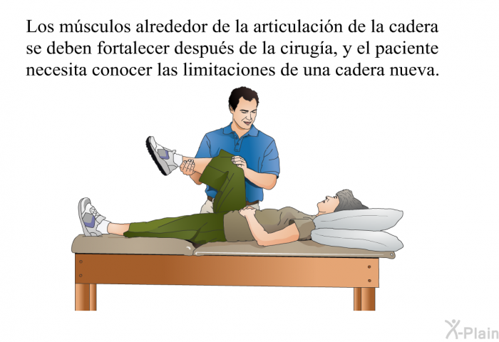 Los m�sculos alrededor de la articulaci�n de la cadera se deben fortalecer despu�s de la cirug�a, y el paciente necesita conocer las limitaciones de una cadera nueva.