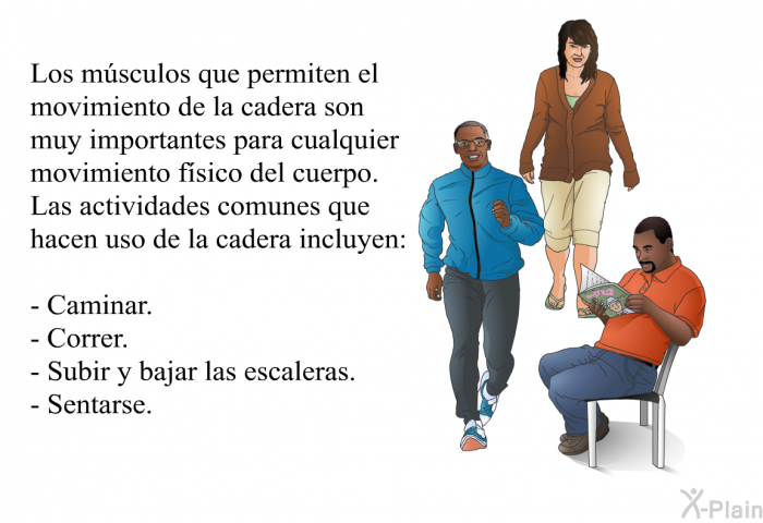 Los m�sculos que permiten el movimiento de la cadera son muy importantes para cualquier movimiento f�sico del cuerpo. Las actividades comunes que hacen uso de la cadera incluyen:  Caminar. Correr. Subir y bajar las escaleras. Sentarse.