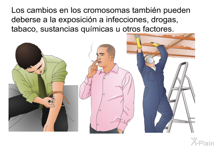 Los cambios en los cromosomas tambin pueden deberse a la exposicin a infecciones, drogas, tabaco, sustancias qumicas u otros factores.