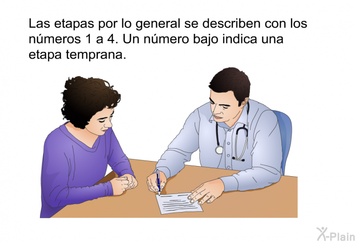 Las etapas por lo general se describen con los nmeros 1 a 4. Un nmero bajo indica una etapa temprana.