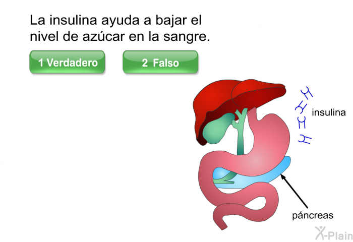 La insulina ayuda a bajar el nivel de azcar en la sangre.