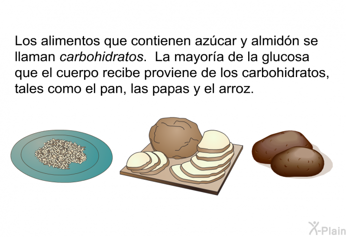 Los alimentos que contienen azcar y almidn se llaman <I>carbohidratos</I>. La mayora de la glucosa que el cuerpo recibe proviene de los carbohidratos, tales como el pan, las papas y el arroz.