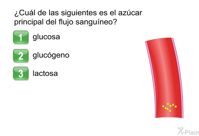 ¿Cul de las siguientes es el azcar principal del flujo sanguneo?  glucosa Glucgeno Lactosa