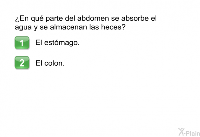 ¿En qu parte del abdomen se absorbe el agua y se almacenan las heces? 1. El estmago. 2. El colon.