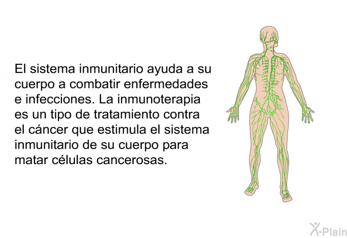 El sistema inmunitario ayuda a su cuerpo a combatir enfermedades e infecciones. La inmunoterapia es un tipo de tratamiento contra el cncer que estimula el sistema inmunitario de su cuerpo para matar clulas cancerosas.