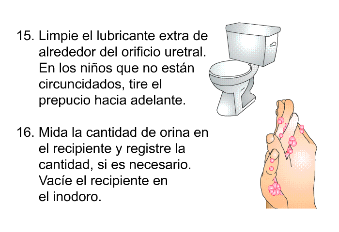 <OL START=15> Limpie el lubricante extra de alrededor del orificio uretral. En los nios que no estn circuncidados, tire el prepucio hacia adelante. Mida la cantidad de orina en el recipiente y registre la cantidad, si es necesario. Vace el recipiente en el inodoro.