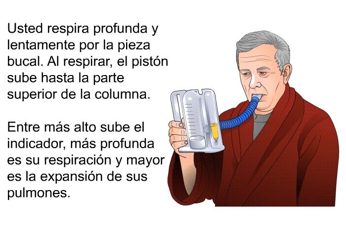 Usted respira profunda y lentamente por la pieza bucal. Al respirar, el pistn sube hasta la parte superior de la columna. Entre ms alto sube el indicador, ms profunda es su respiracin y mayor es la expansin de sus pulmones.