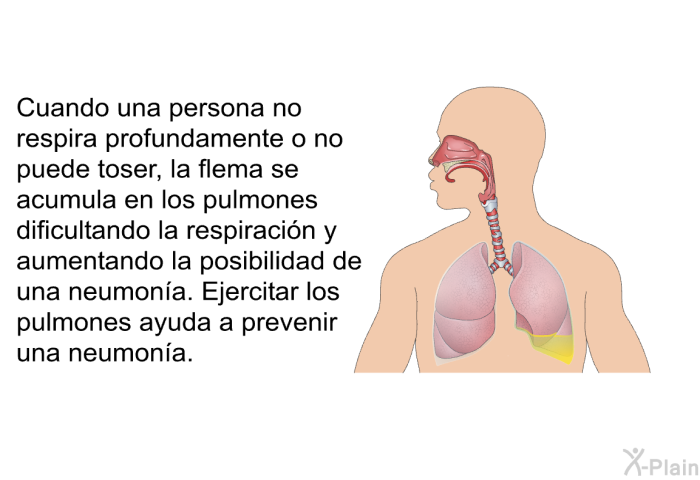 Entre ms grande sea el rea de atelectasia, ms difcil ser respirar. Esta condicin aumenta la posibilidad de contraer una infeccin. Cuando una persona no respira profundamente o no puede toser, la flema se acumula en los pulmones dificultando la respiracin y aumentando la posibilidad de una neumona.