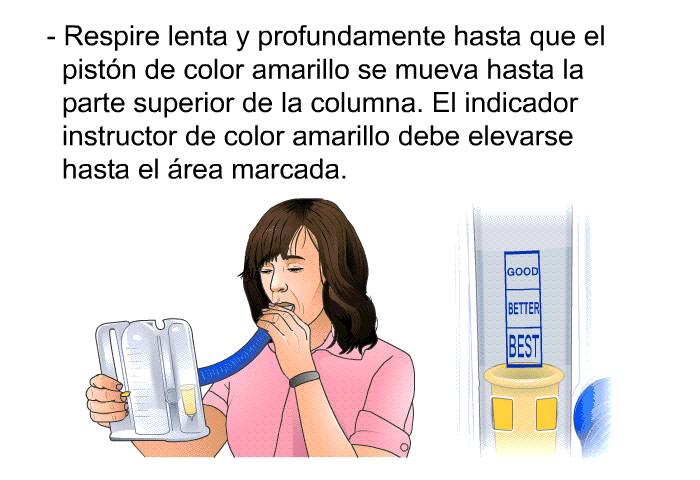 Respire lenta y profundamente hasta que el pistn de color amarillo se mueva hasta la parte superior de la columna. El indicador instructor de color amarillo debe elevarse hasta el rea marcada.