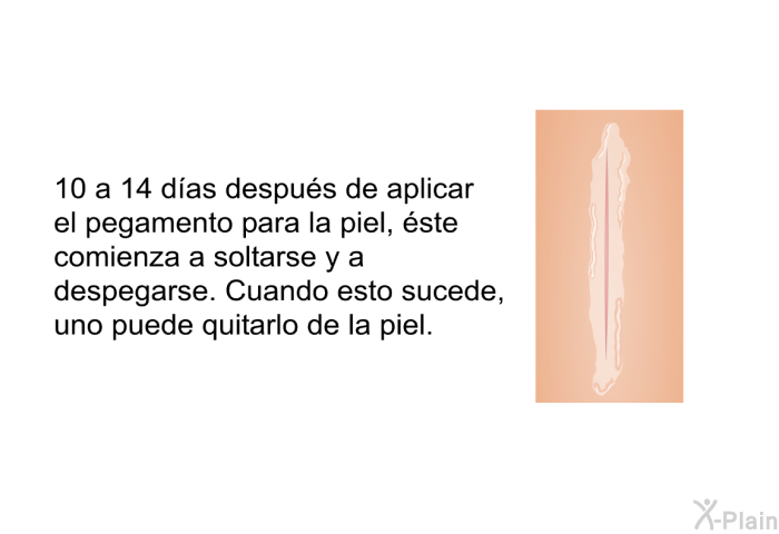 10 a 14 d�as despu�s de aplicar el pegamento para la piel, �ste comienza a soltarse y a despegarse. Cuando esto sucede, uno puede quitarlo de la piel.