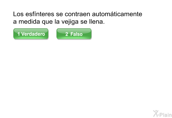 Los esfnteres se contraen automticamente a medida que la vejiga se llena.