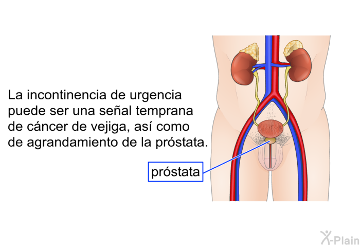 La incontinencia de urgencia puede ser una seal temprana de cncer de vejiga, as como de agrandamiento de la prstata.