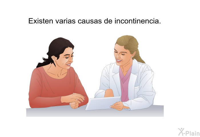 Existen varias causas de incontinencia.